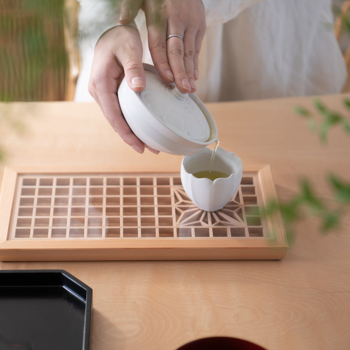 RINKA Shiboridashi Japanese Teapot